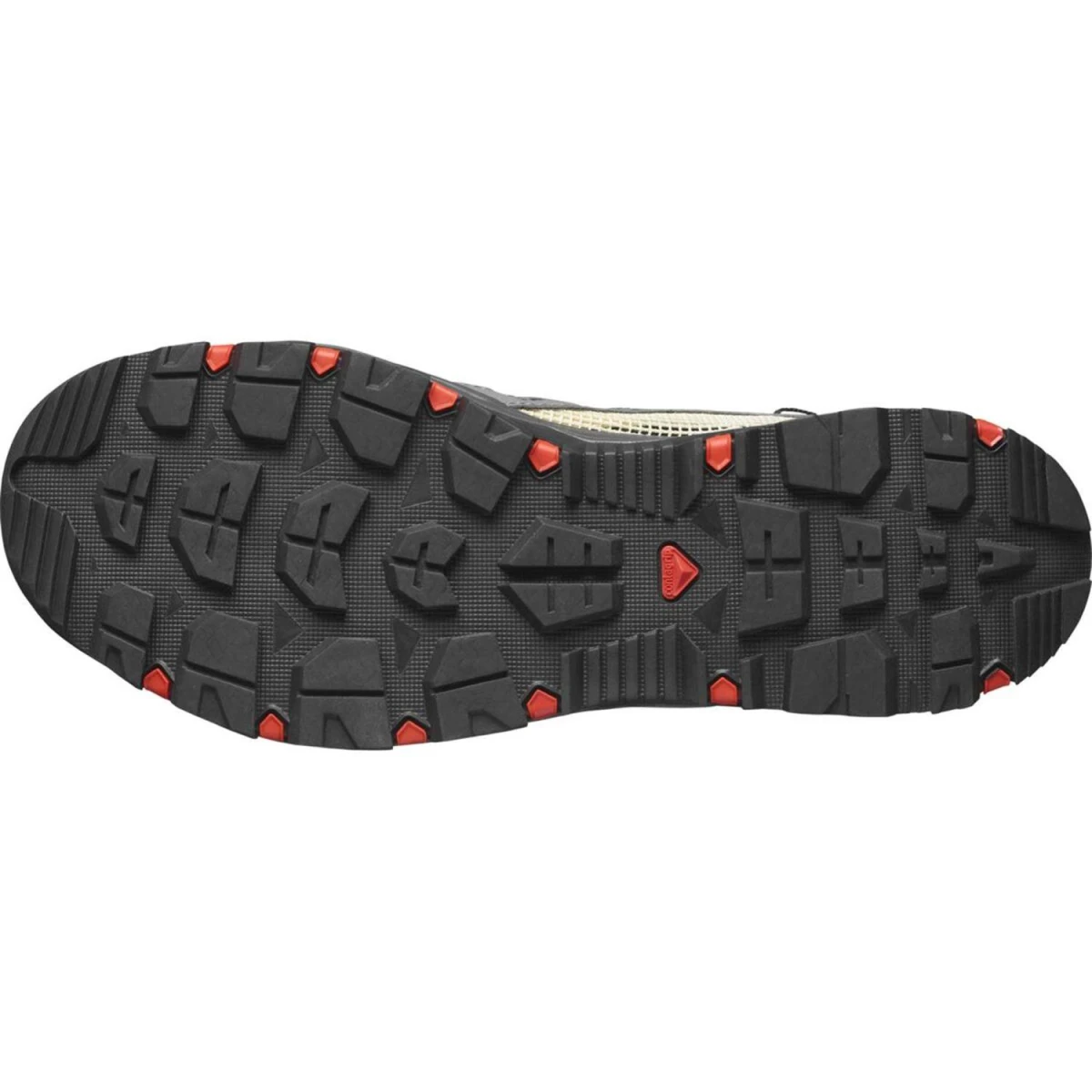 Salomon TECHAMPHIBIAN 5 Erkek Ayakkabısı