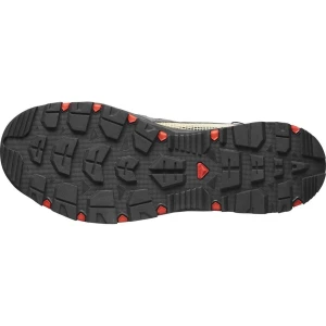 Salomon TECHAMPHIBIAN 5 Erkek Ayakkabısı