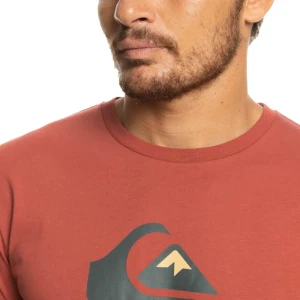 Quiksilver COMPLOGO M TEES Erkek T-Shirt