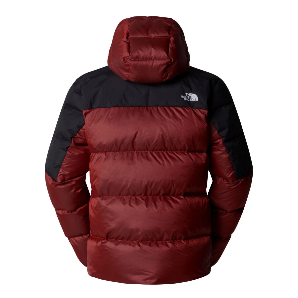 The North Face Erkek DIABLO DOWN 2.0 KAPÜŞONLU CEKET