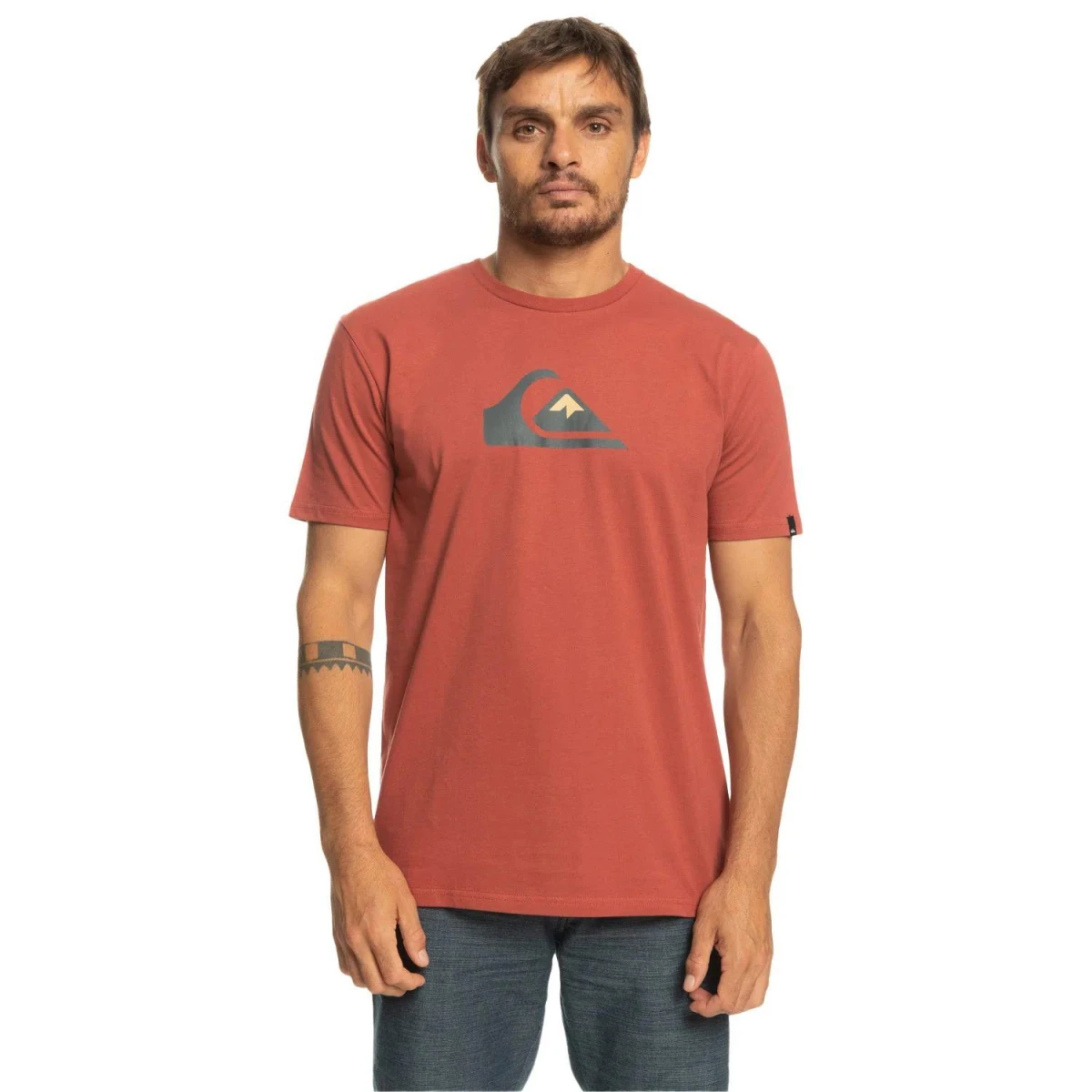 Quiksilver COMPLOGO M TEES Erkek T-Shirt