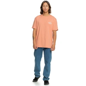 Quıksılver TRADESMITH SS Erkek T-shirt
