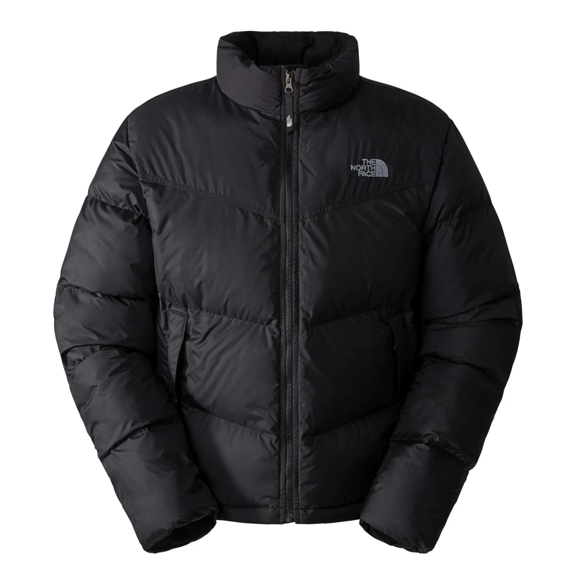 The North Face Erkek SAIKURU CEKET