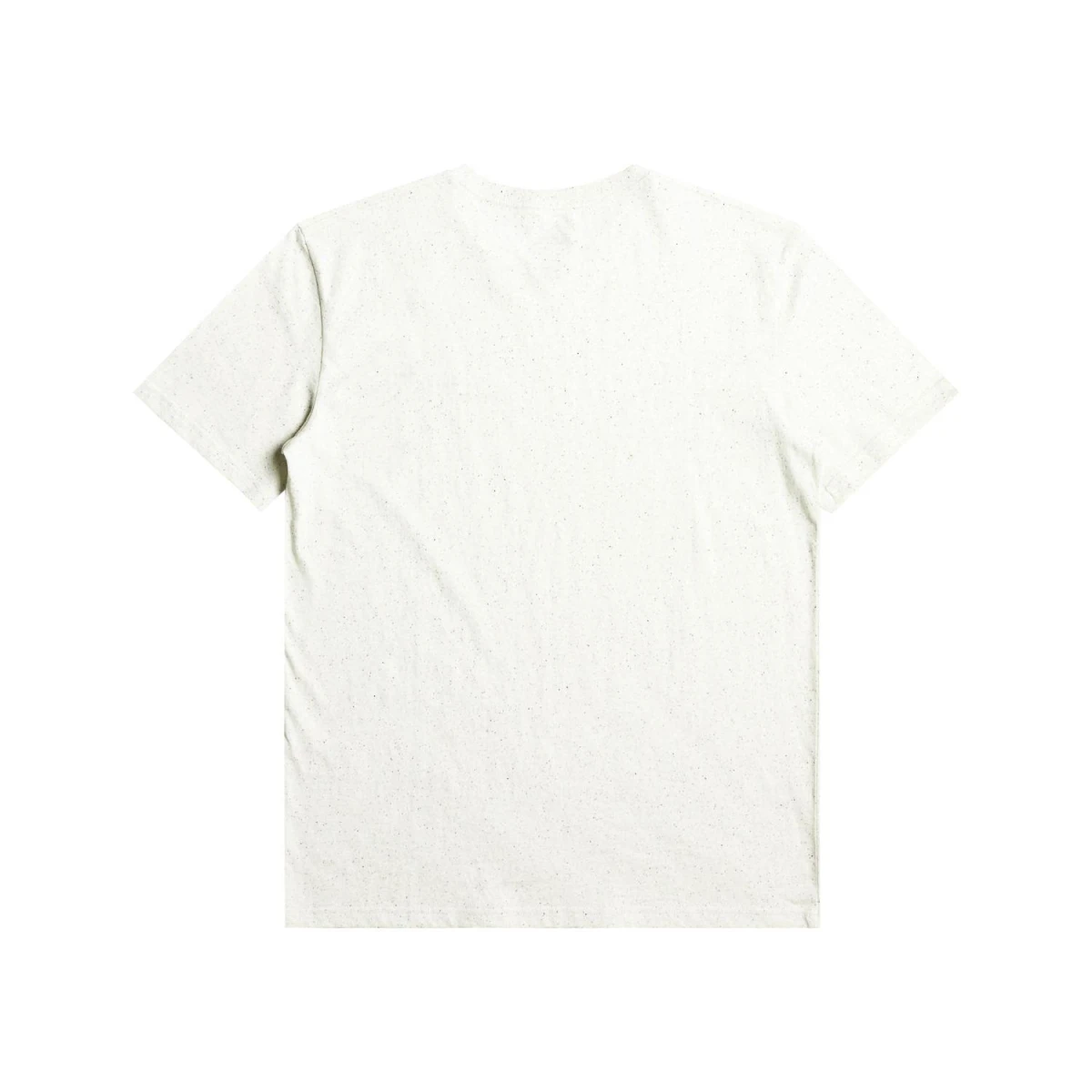 Quıksılver ARCHEDTYPE M TEES Erkek T-shırt