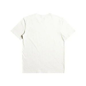 Quıksılver ARCHEDTYPE M TEES Erkek T-shırt