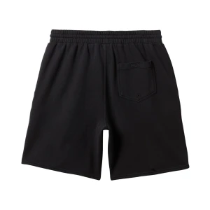 Quıksılver SALT WATER FLEECE SHORT Erkek Şort