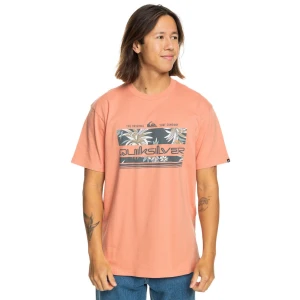 Quıksılver TROPICAL RAINBOW SS Erkek T-shirt