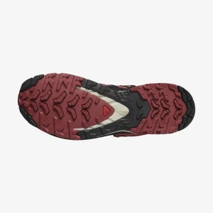 Salomon XA PRO 3D V9 GTX W Kadın Ayakkabı - Siyah 37⅓