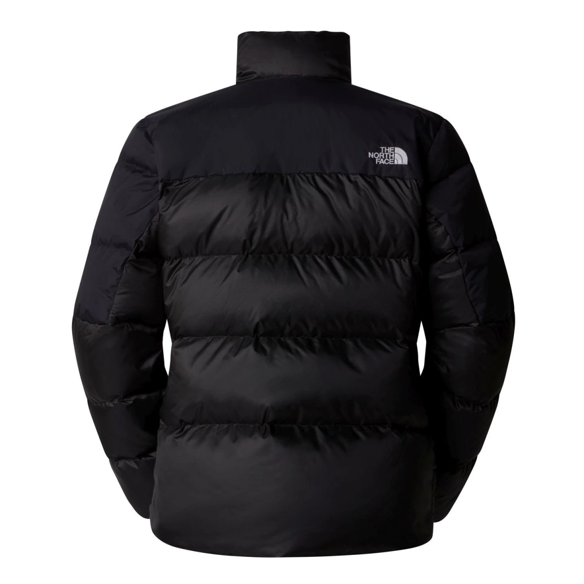 The North Face Erkek DIABLO DOWN 2.0 CEKET