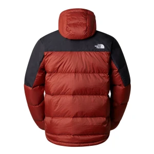The North Face DIABLO DOWN Kapşonlu K. Tüyü Erkek Ceket