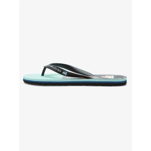 Quiksilver MOLOKAI PANEL Erkek Ayakkabı