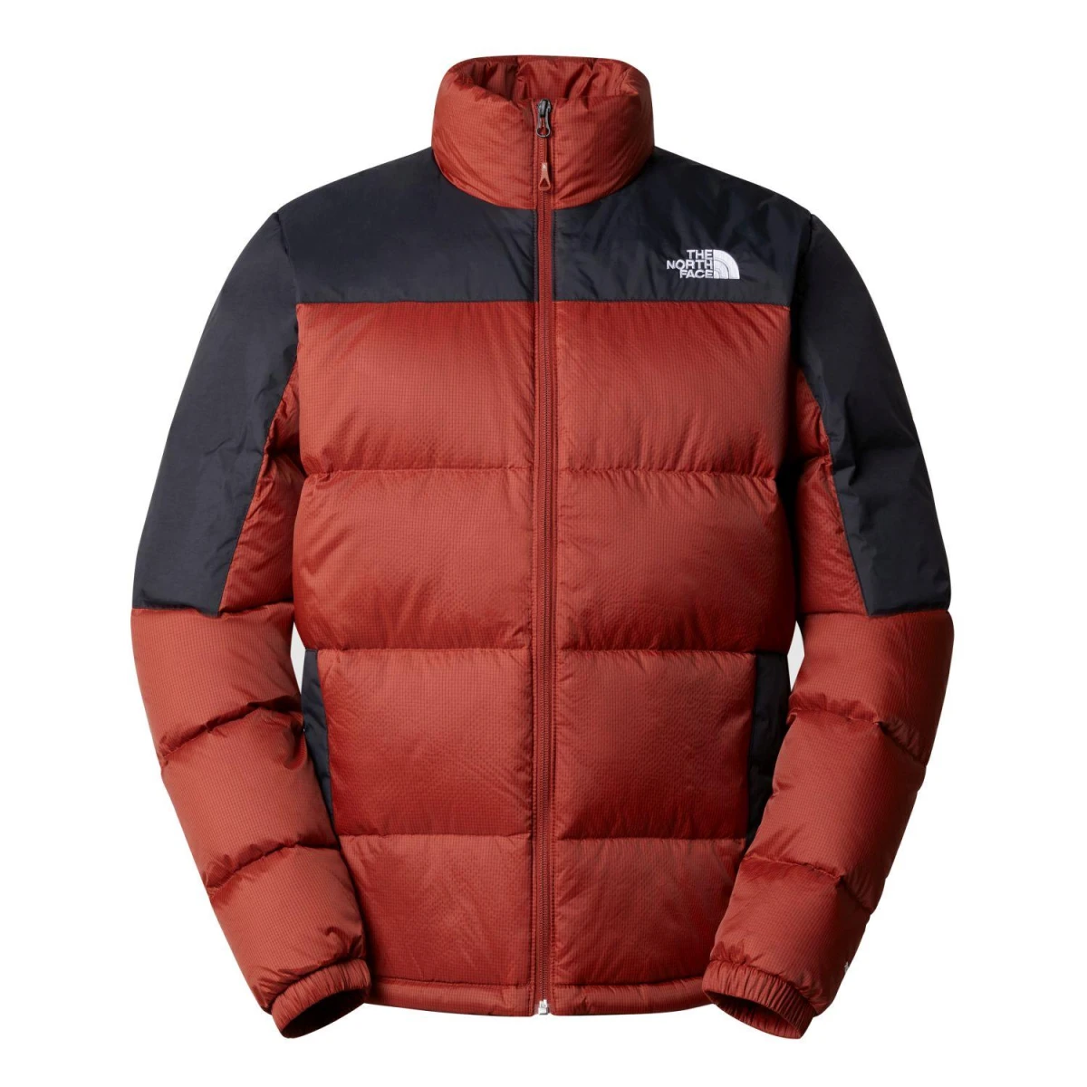 The North Face DIABLO DOWN Erkek Mont