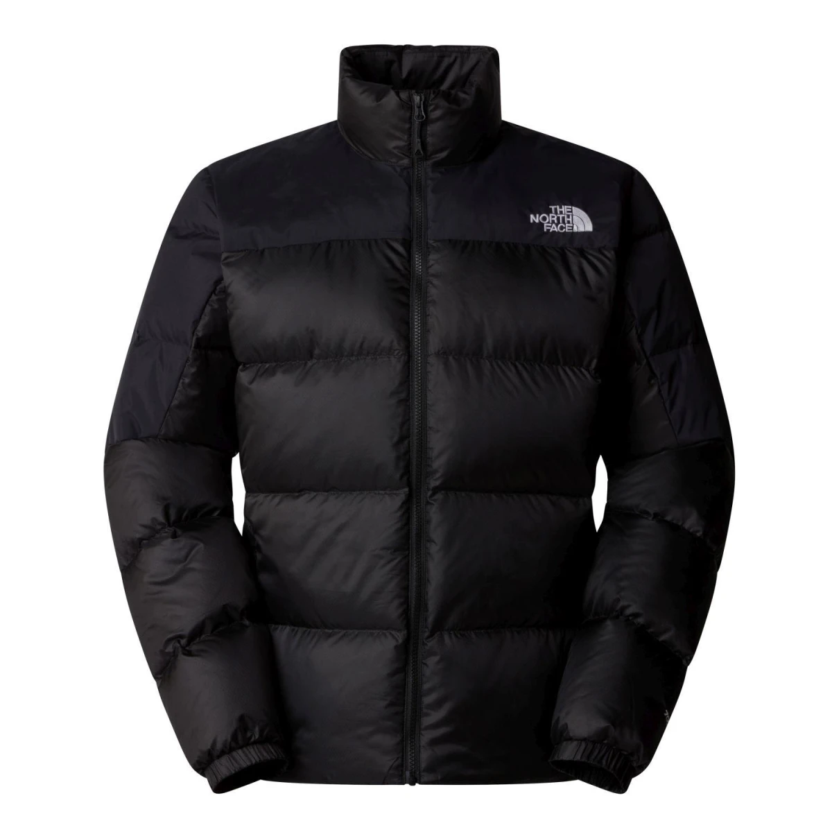 The North Face Erkek DIABLO DOWN 2.0 CEKET