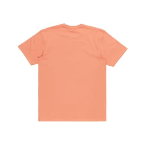 Quıksılver TROPICAL RAINBOW SS Erkek T-shirt