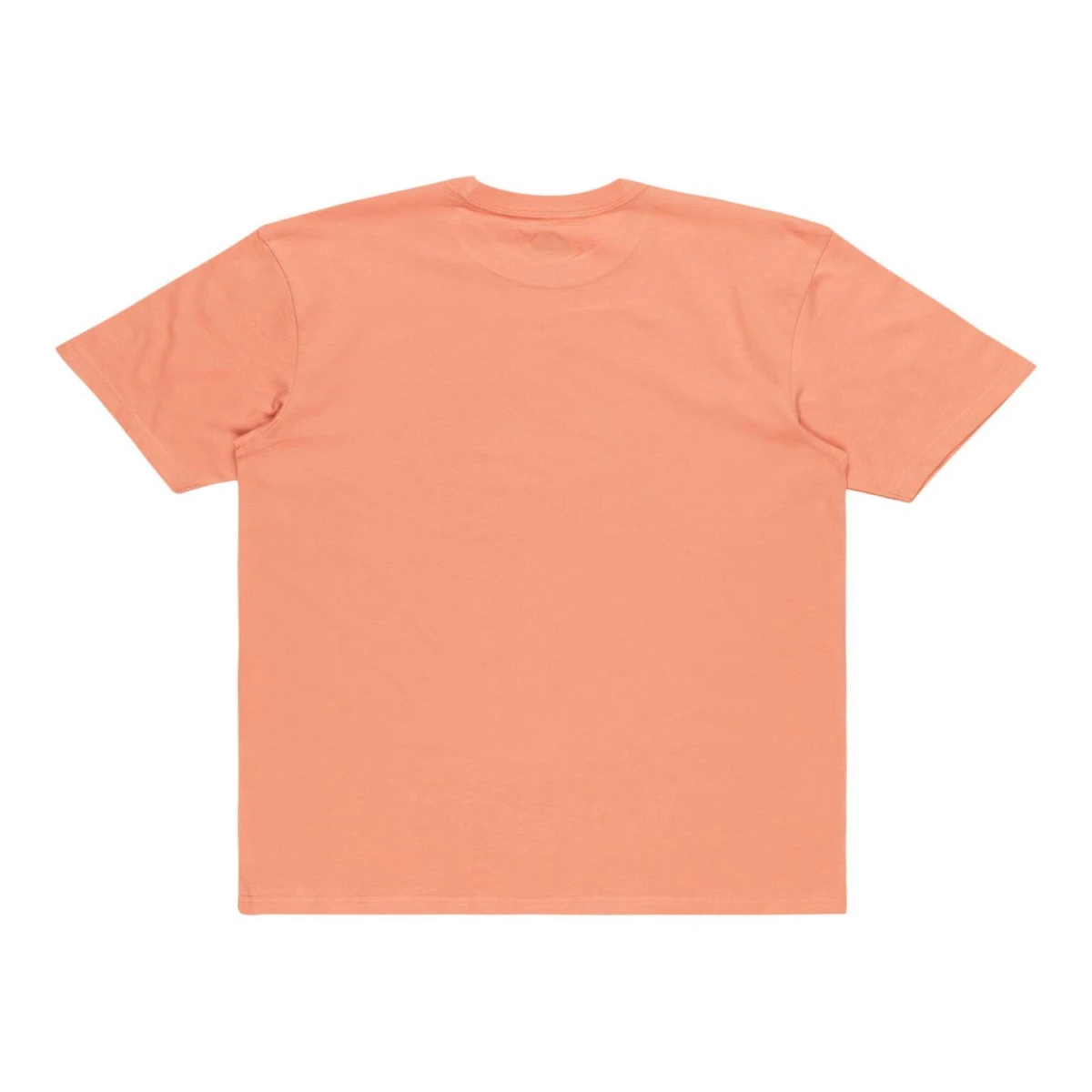 Quıksılver TROPICAL RAINBOW SS Erkek T-shirt