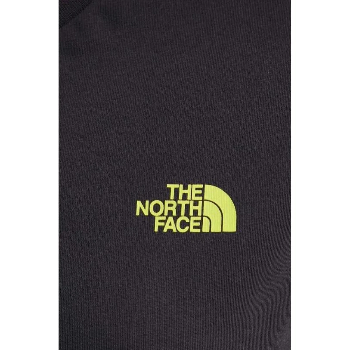 The North Face W S/S FESTIVAL TEE  Kadın T-Shirt
