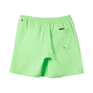 Quıksılver EVERYDAY SOLID VOLLEY 15 Erkek Şort - Yeşil S
