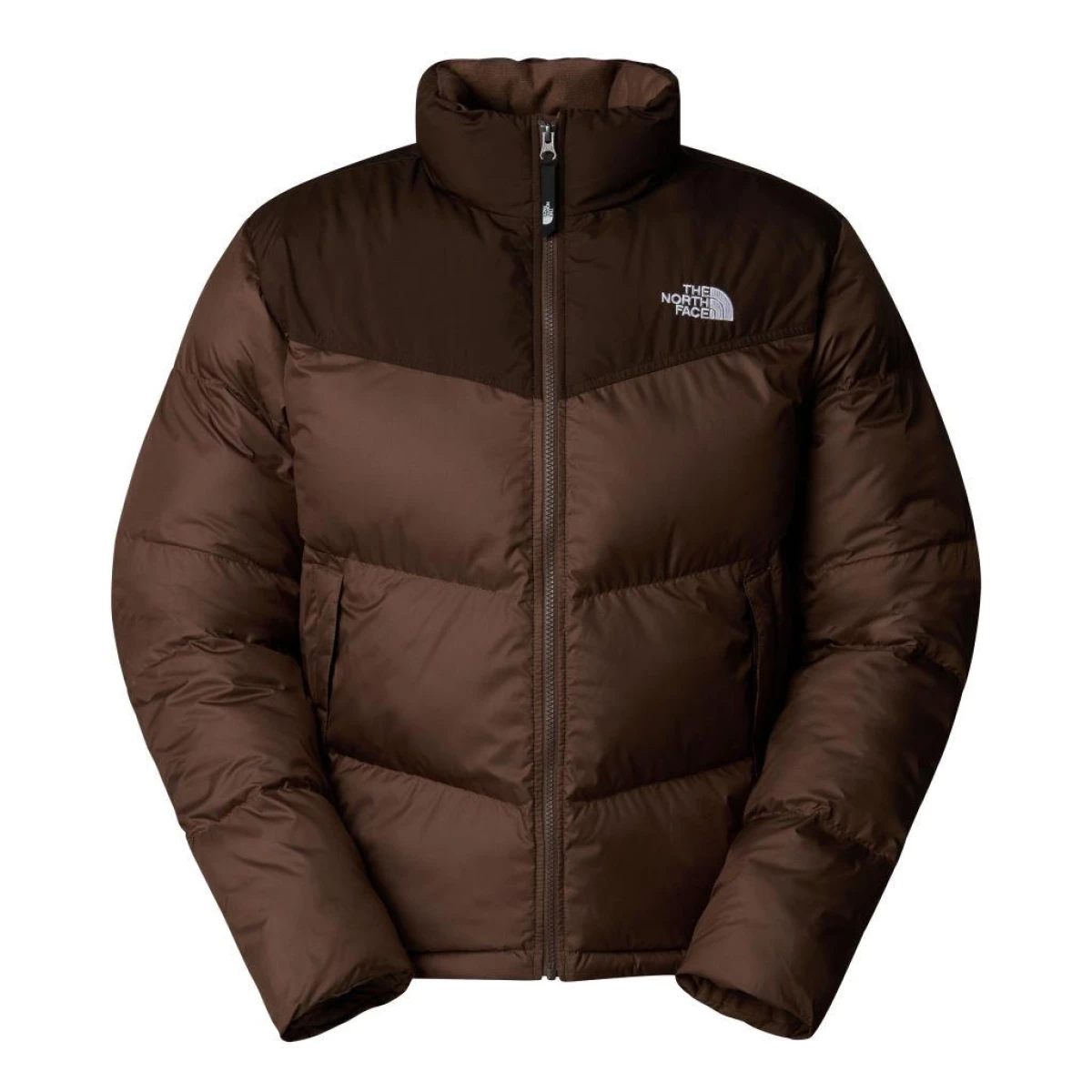 The North Face Erkek SAIKURU CEKET