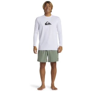 Quıksılver EVERYDAY SURF TEE SS T-Shirt