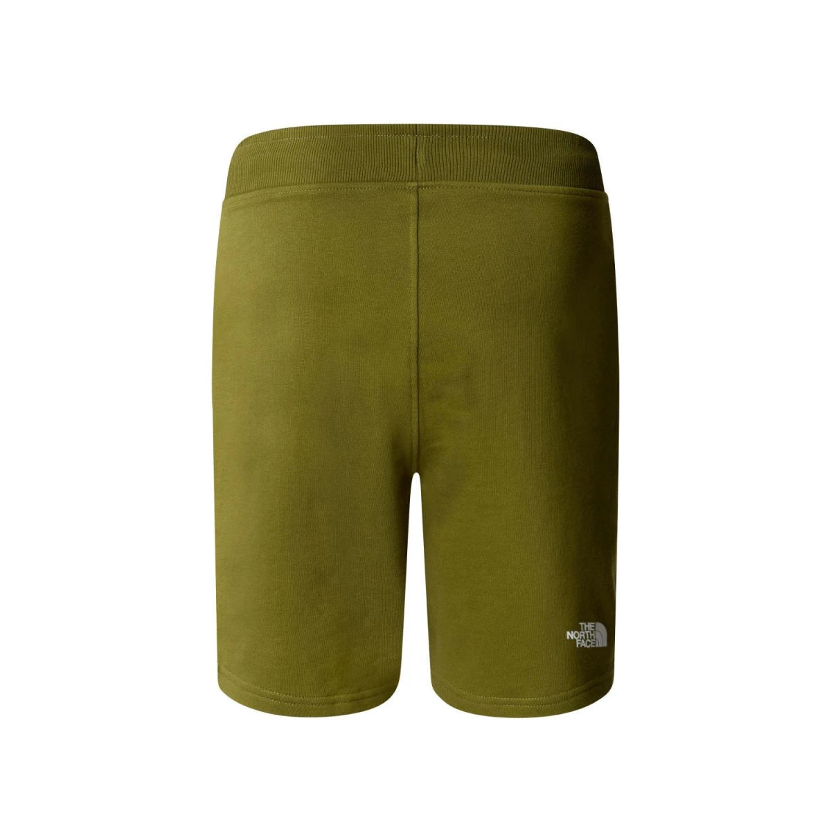 The North Face M STANDARD SHORT LIGHT-EU Erkek Şort