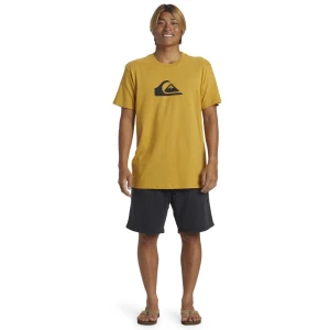 Quıksılver SALT WATER FLEECE SHORT Erkek Şort