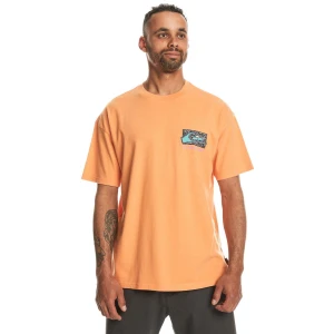Quıksılver SPIN CYCLE SS Erkek T-shirt