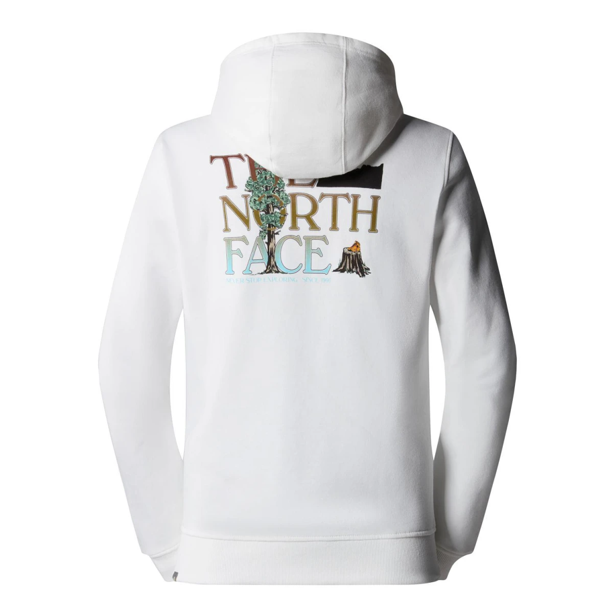 The North Face M SEASONAL GRAPHIC Erkek Sweatshirt