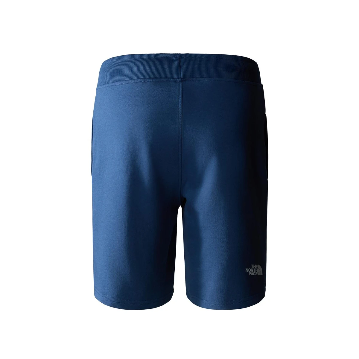 The North Face M STANDARD SHORT LIGHT-EU Erkek Şort