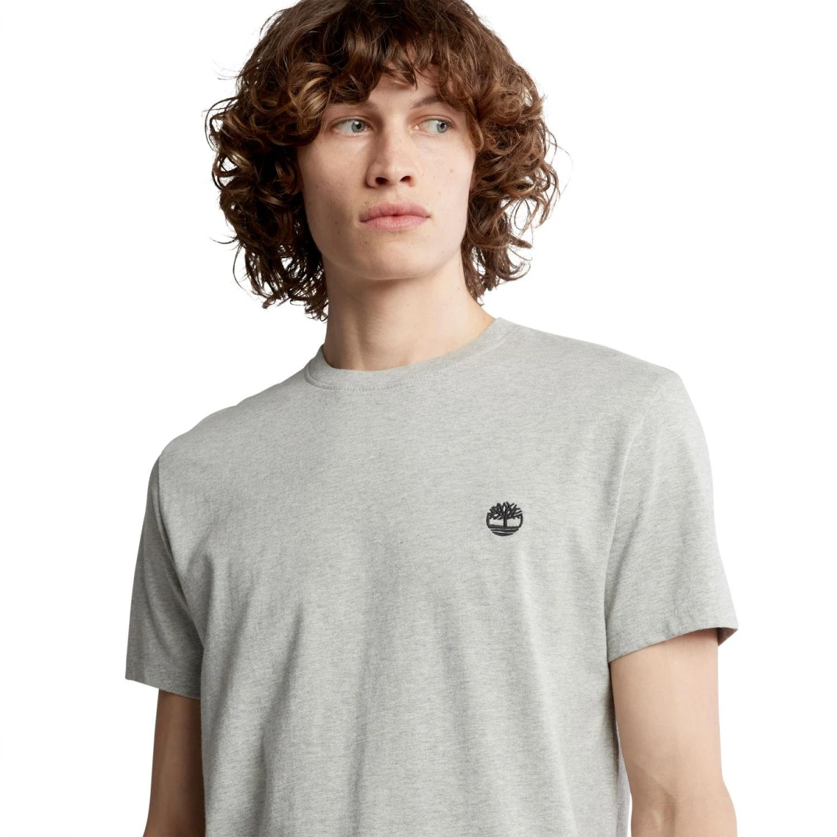 Timberland Short Sleeve Tee Erkek T-Shirt