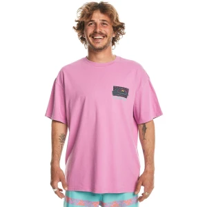 Quıksılver SPIN CYCLE SS Erkek T-shirt