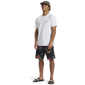 Quıksılver THE ORIGINAL BOARDSHORT MOR Erkek T-shirt