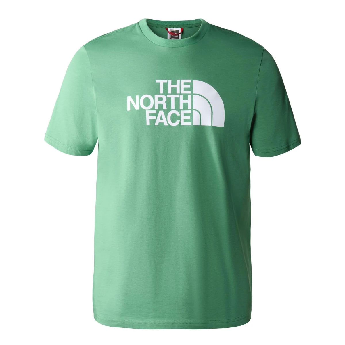 The North Face EASY TEE  Erkek T-Shirt