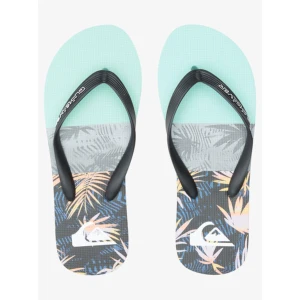 Quiksilver MOLOKAI PANEL Erkek Ayakkabı