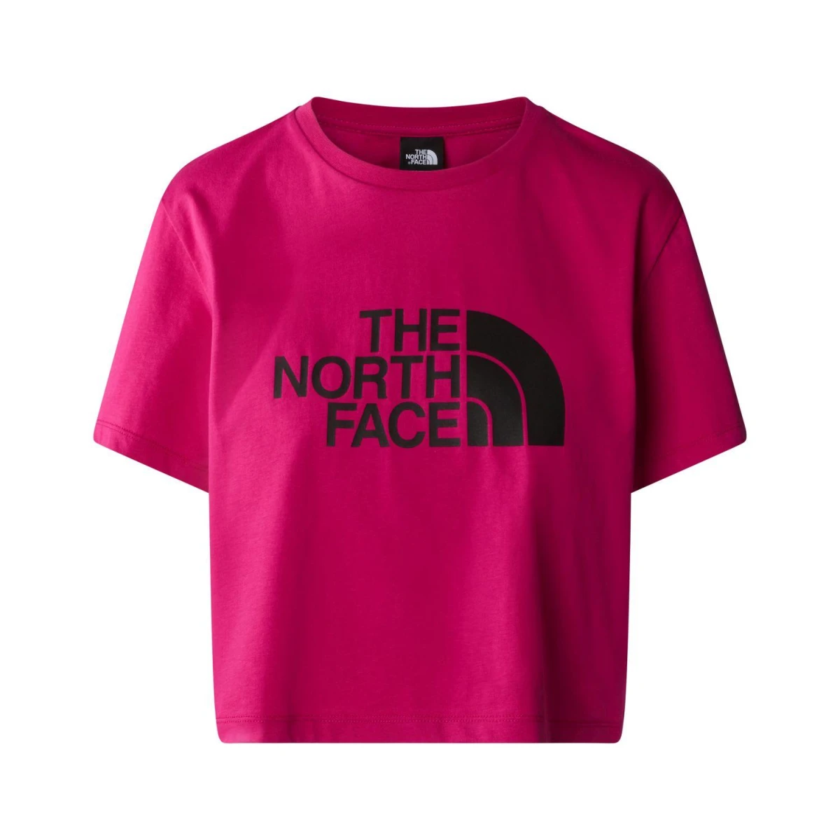 The North Face W S/S CROPPED EASY TEE  Kadın T-Shirt