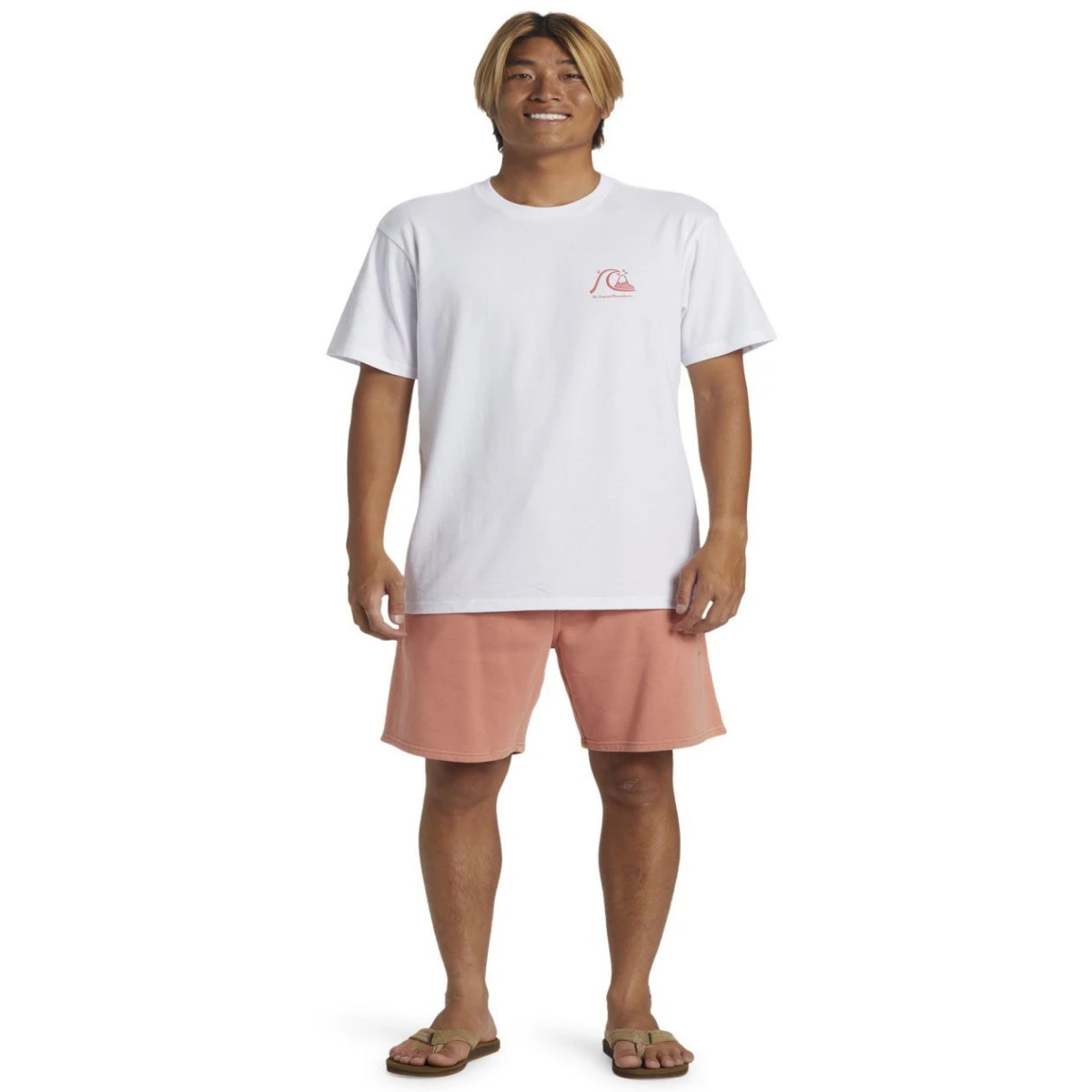 Quıksılver THE ORIGINAL BOARDSHORT MOR Erkek T-shirt