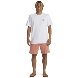 Quıksılver THE ORIGINAL BOARDSHORT MOR Erkek T-shirt