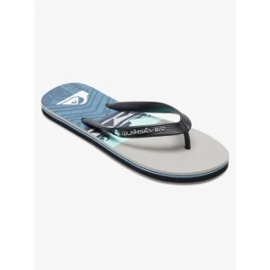Quiksilver MOLOKAI PANEL Erkek Ayakkabı