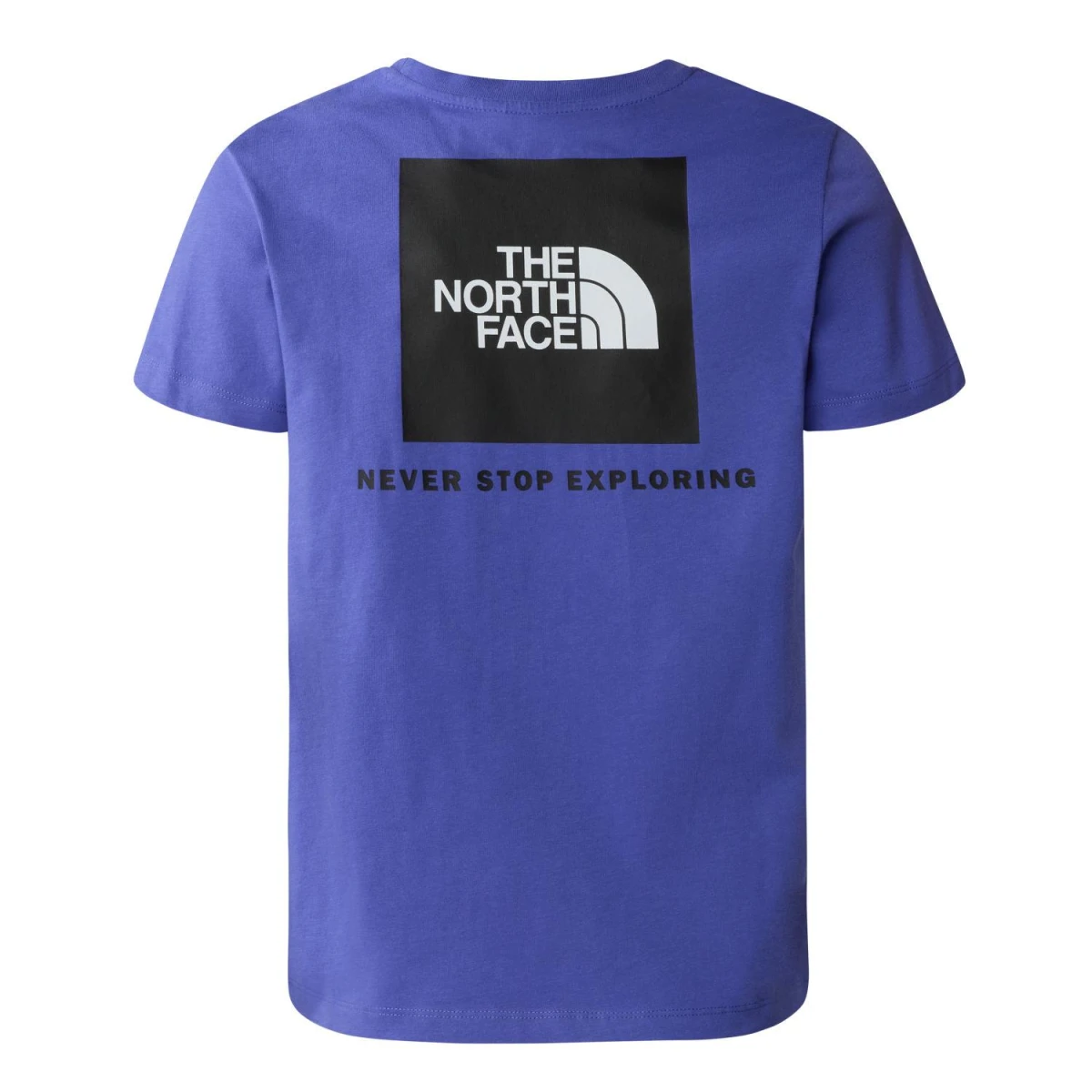 The North Face B S/S REDBOX TEE (BACK BOX GRAPHIC) Erkek Çocuk Tişört