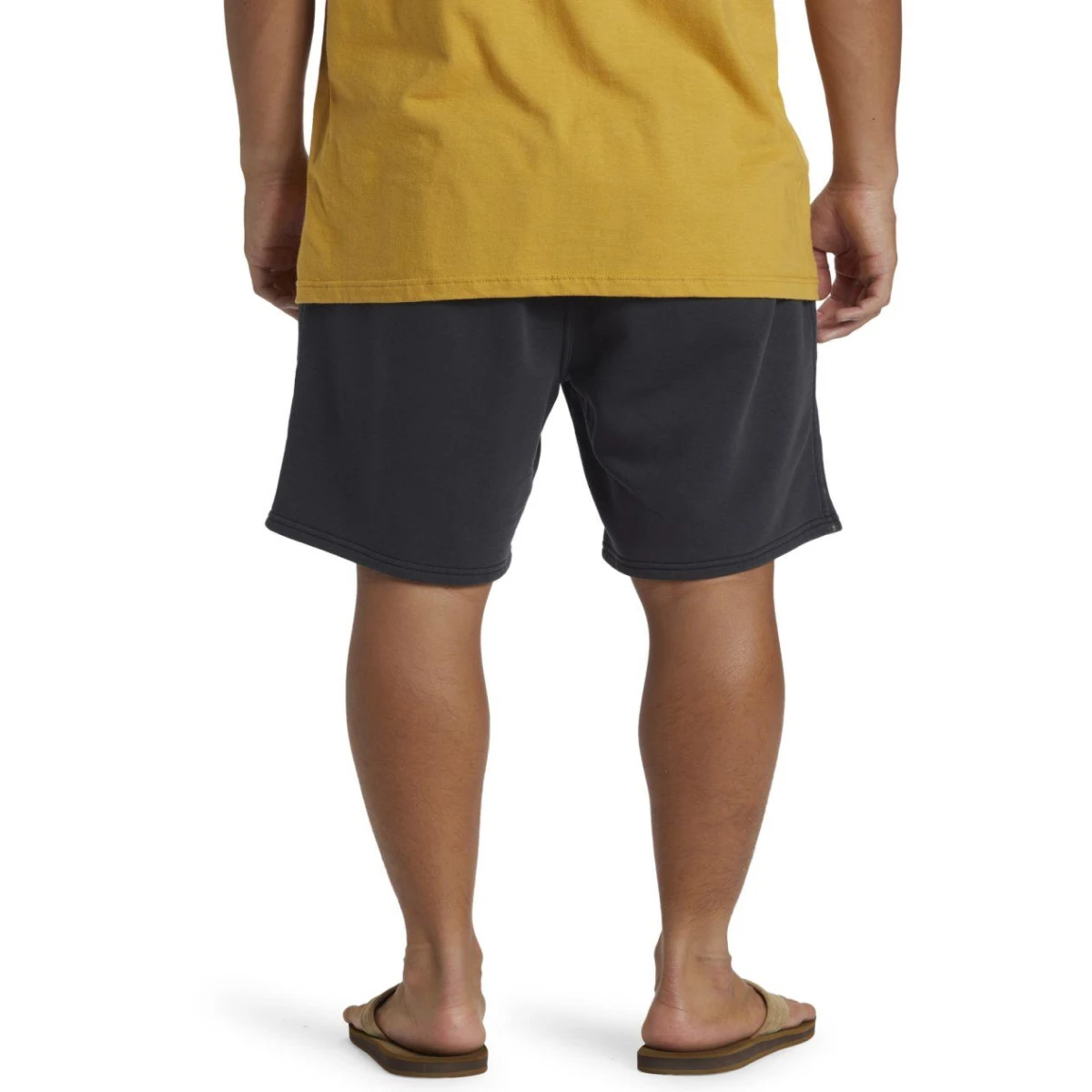 Quıksılver SALT WATER FLEECE SHORT Erkek Şort