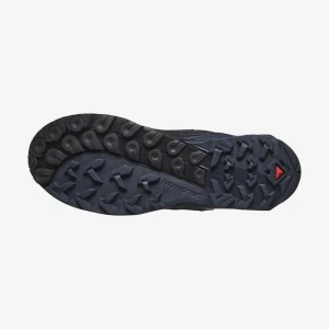 Salomon X ULTRA ALPINE GTX Erkek Ayakkabı - Mavi 42⅔