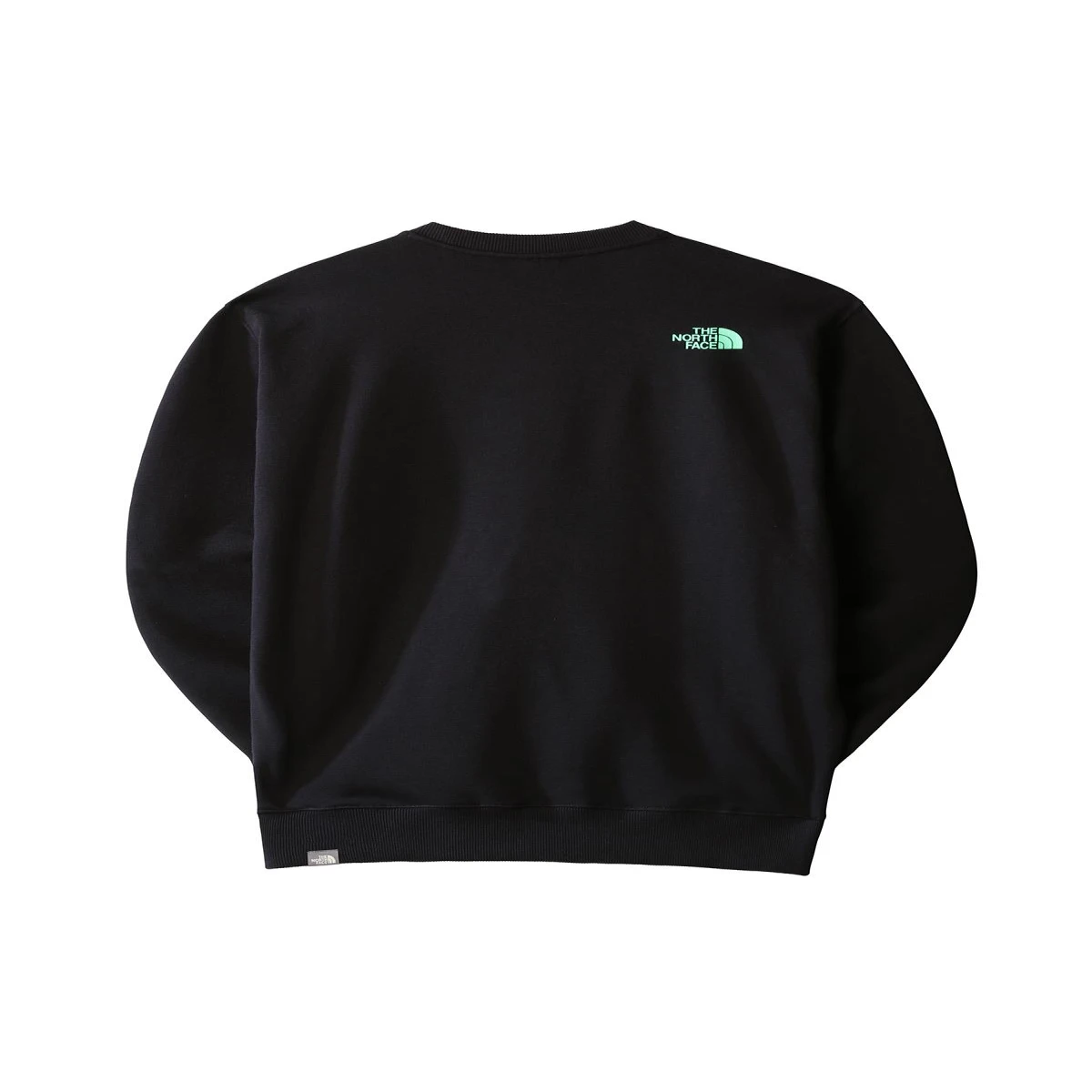 The North Face  Erkek COORDINATES CREW Svetşört