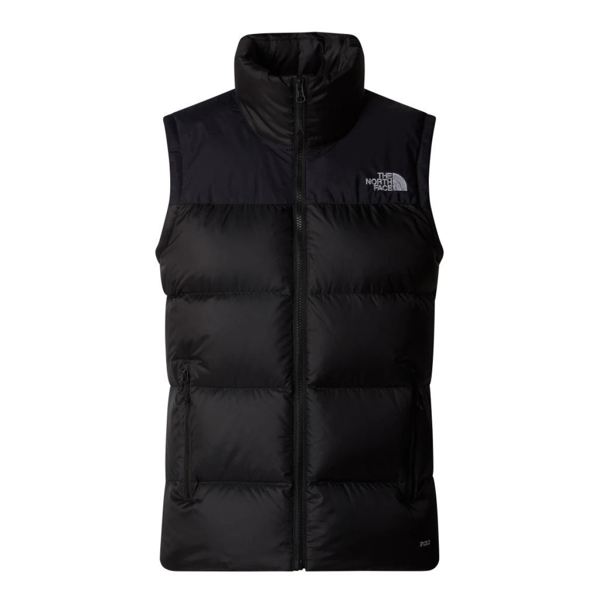 The North Face Kadın DIABLO DOWN 2.0 YELEK