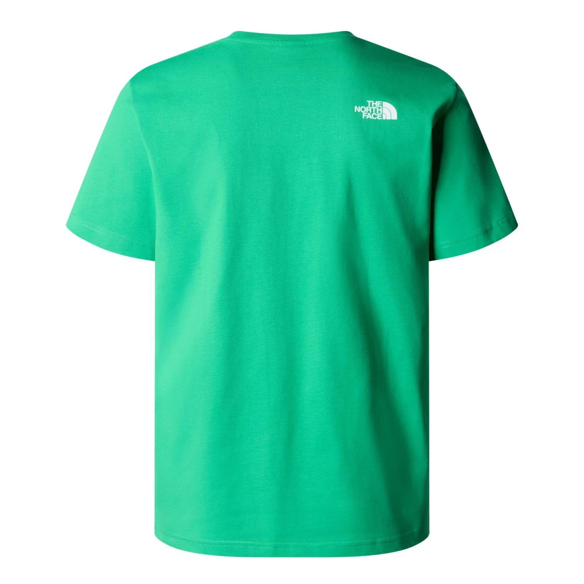 The North Face M MOUNTAIN PLAY S/S TEE Erkek T-Shirt