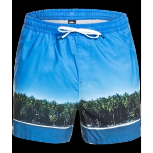 Quiksilver Jlagdrmsvly15 Erkek Jamv Bmm6 Volley Şort Eqyjv03548-Bmm6