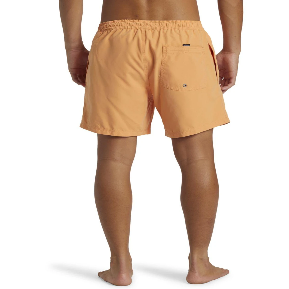 Quıksılver EVERYDAY SOLID VOLLEY 15 Erkek Şort