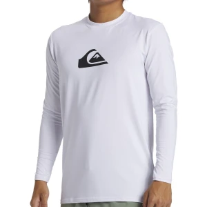 Quıksılver EVERYDAY SURF TEE SS T-Shirt