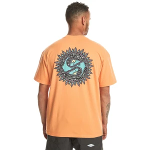 Quıksılver SPIN CYCLE SS Erkek T-shirt