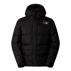 The North Face Erkek HMLYN 30 ANNIVERSARY PARKA