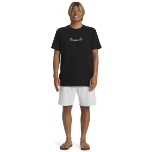 Quıksılver SALT WATER FLEECE SHORT Erkek Şort