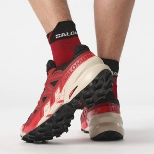 Salomon SPEEDCROSS 6 GTX Erkek Koşu Ayakkabısı